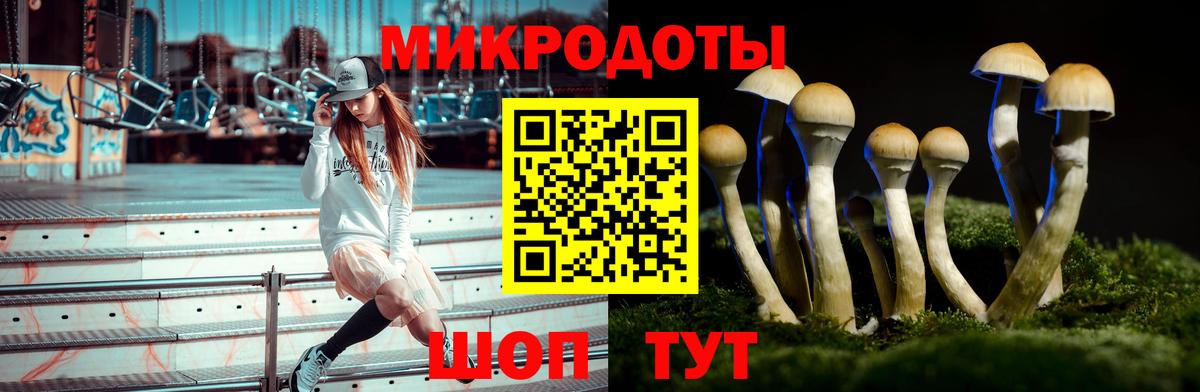 Галлюциногенные грибы мицелий Котлас